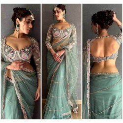 Organza Silk Embroidered Saree